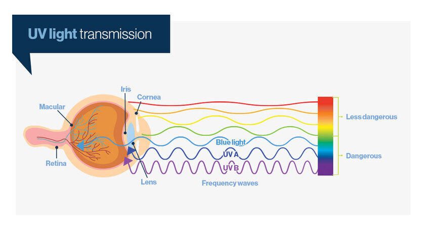 See how frequency waves vary across different colors of light.